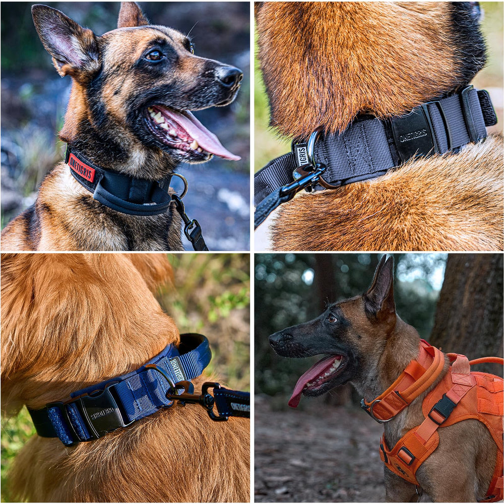ONETIGRIS collar ancho y seguro distribuye la presión para mayor comodidad.