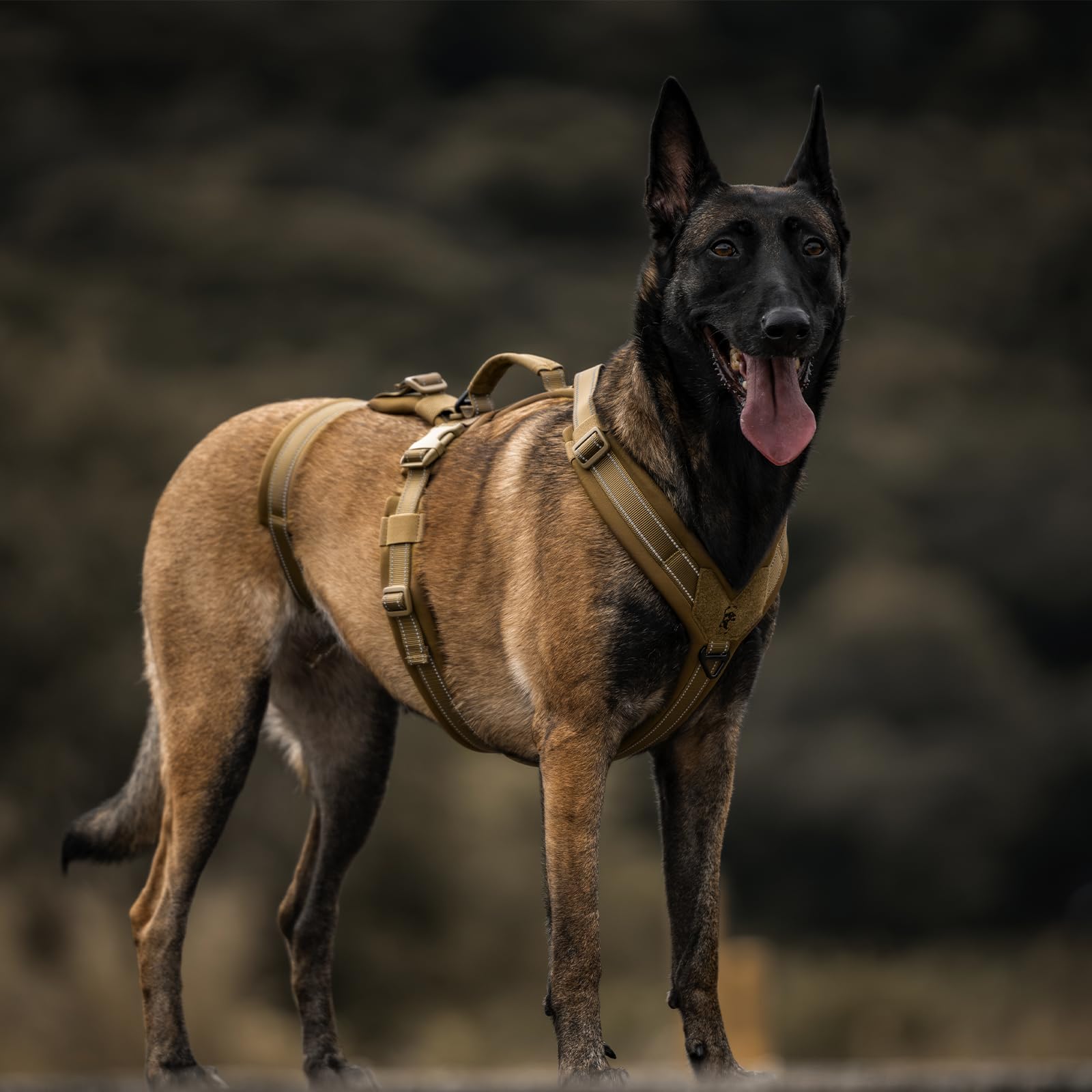 OneTigris arnés con tres correas para mayor seguridad y control