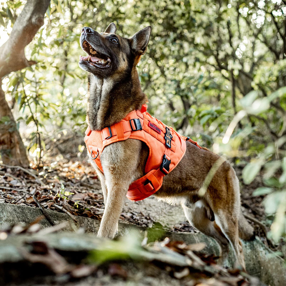 ONETIGRIS Fire Watcher 2.0: paneles de velcro para identificación y accesorios.