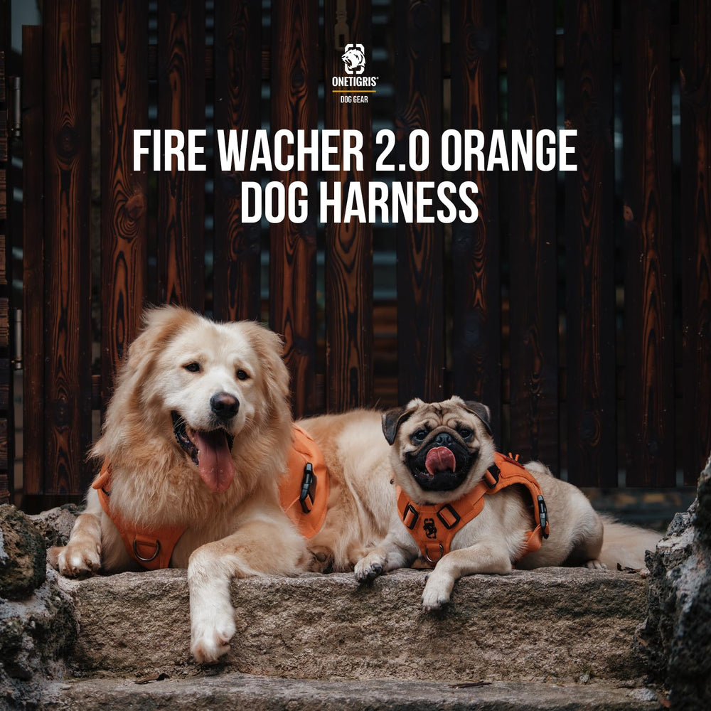 Hebillas de liberación rápida para arnés de perro OneTigris.
