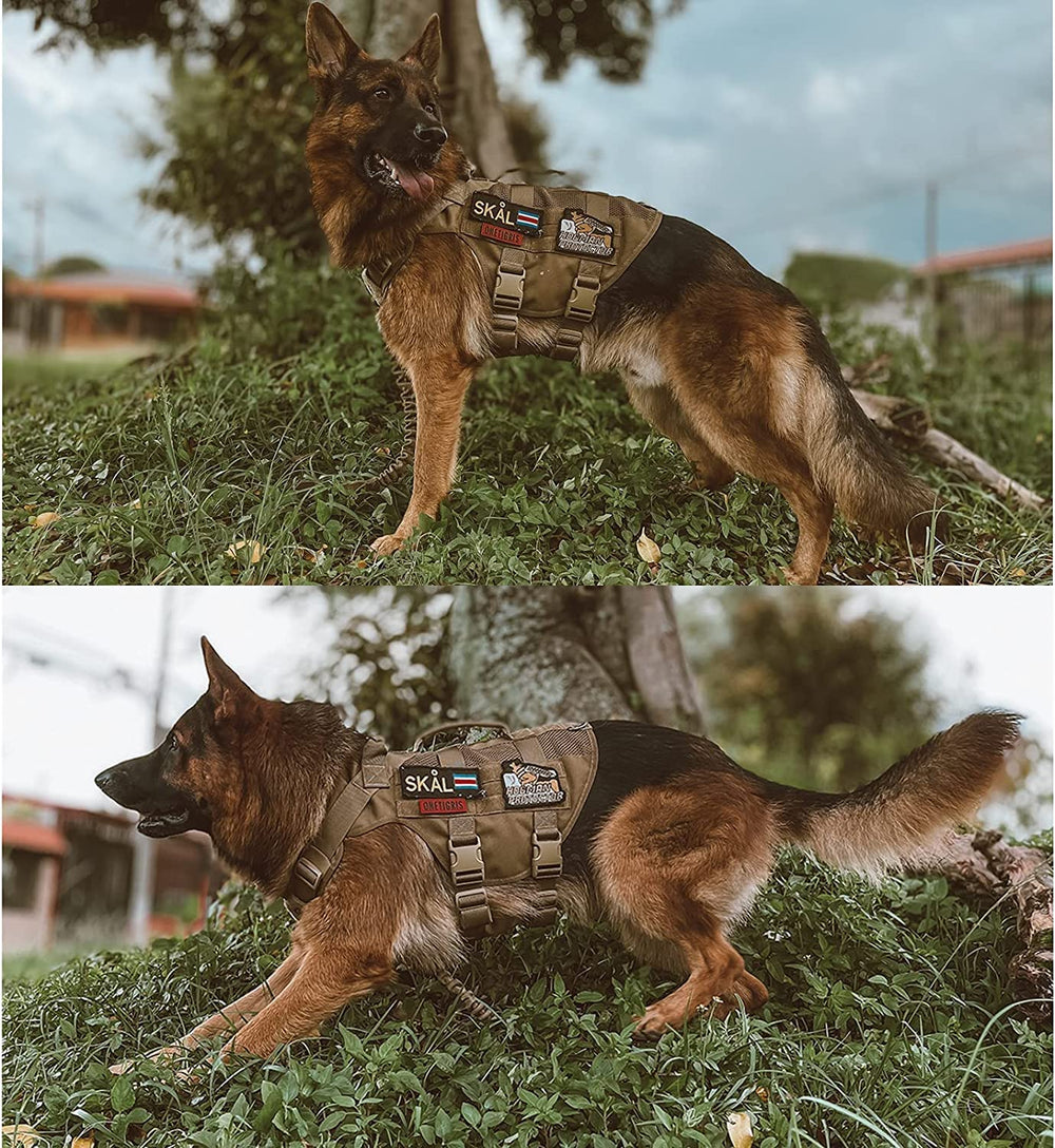 ONETIGRIS malla de aire para ventilación durante entrenamientos intensos.