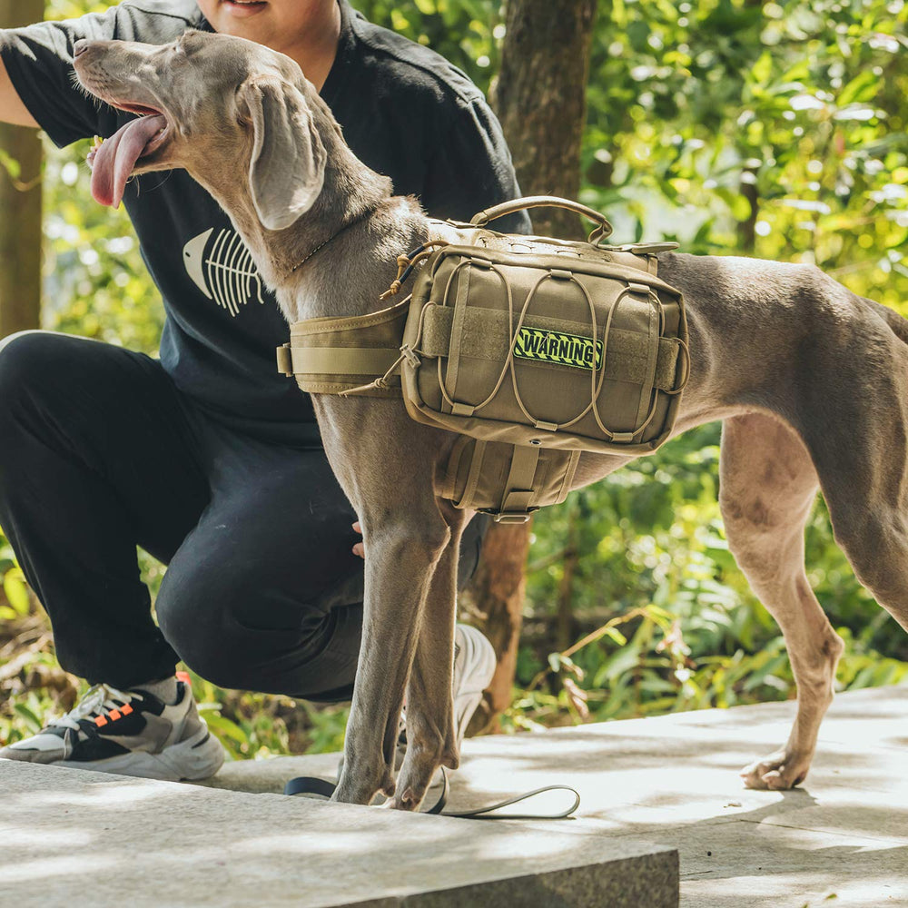 OneTigris Mammoth Dog Pack visto de dorso, distribución equilibrada para caminar