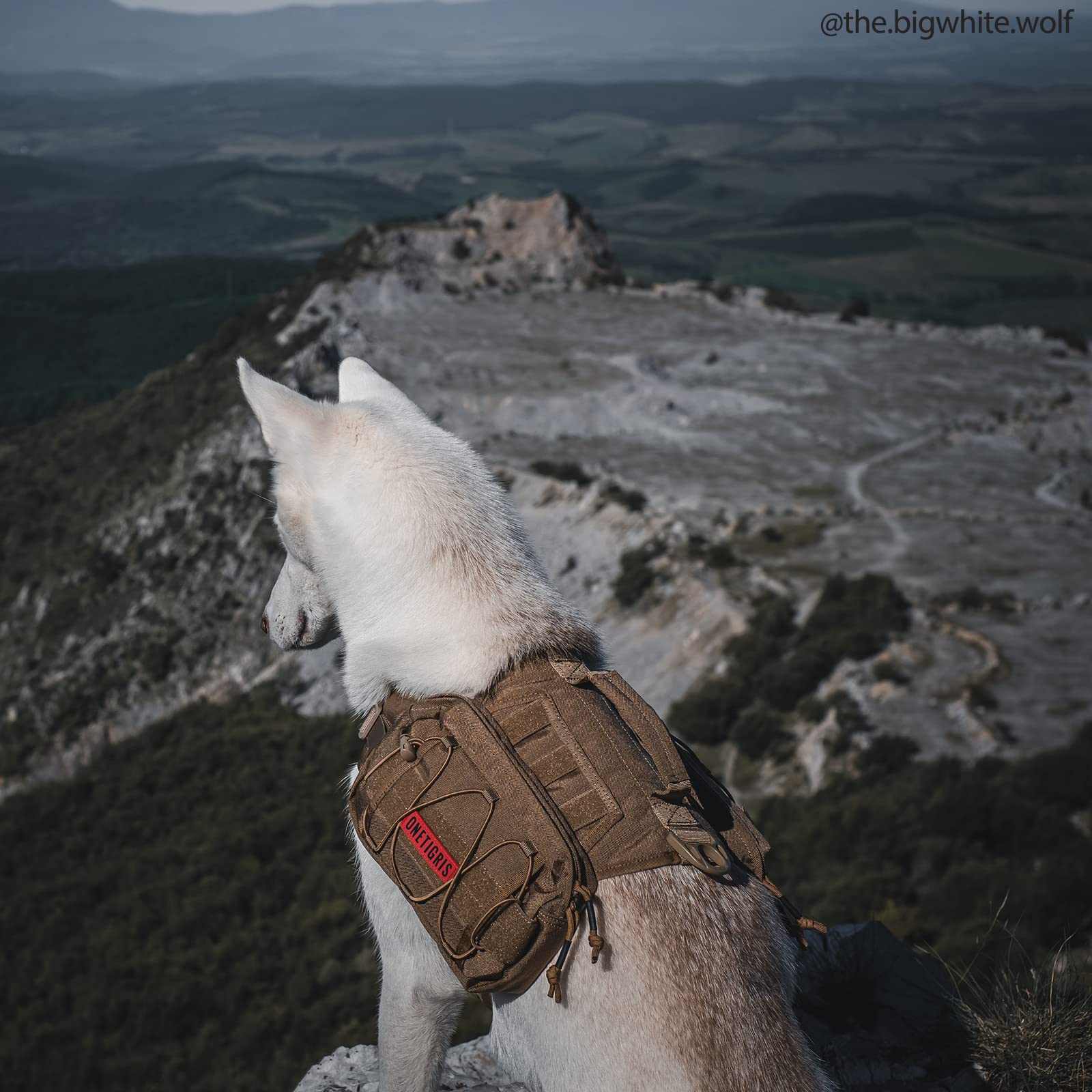 OneTigris Mammoth Dog Pack para uso al aire libre
