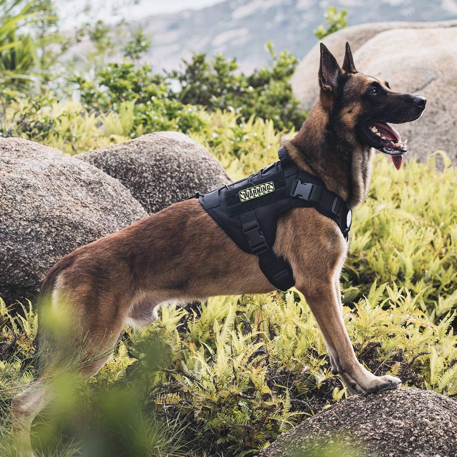 ONETIGRIS sistema de tallas ajustables para perros de distintas medidas.