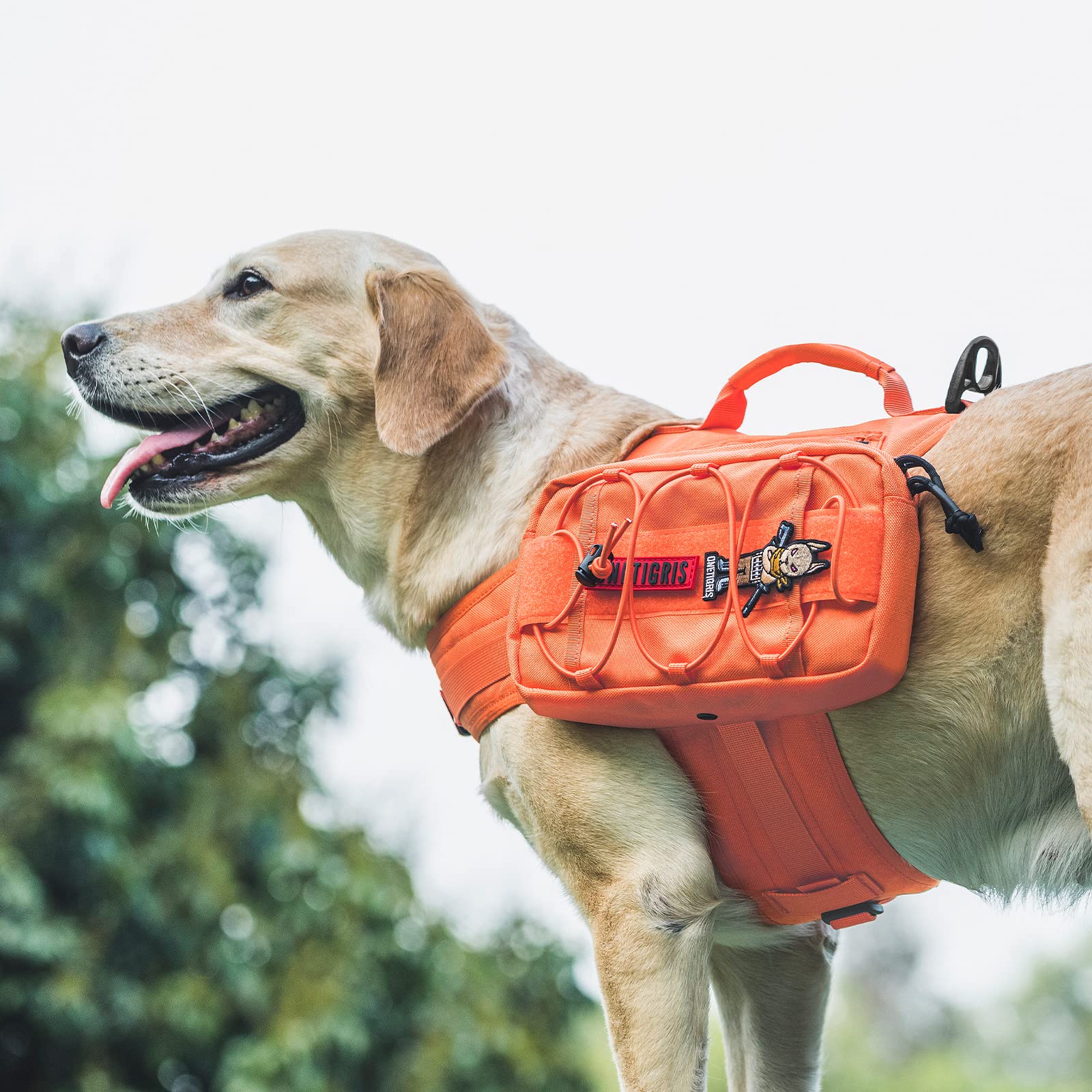 Versión grande de OneTigris con ajuste para perros grandes