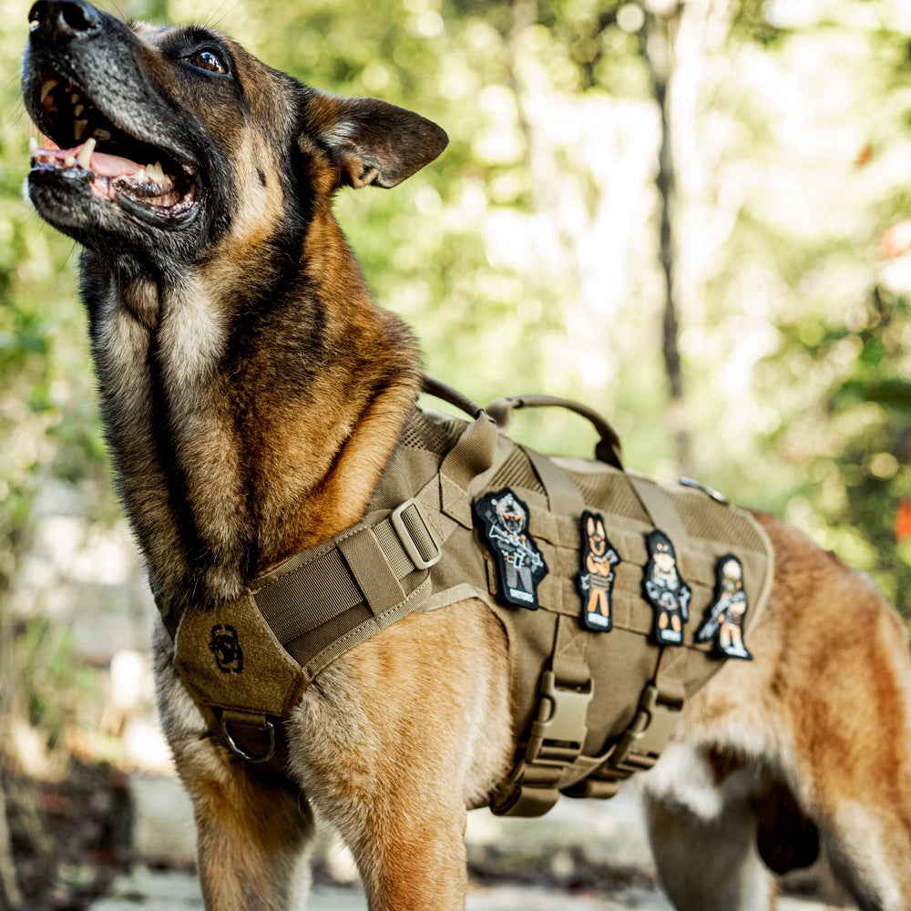 ONETIGRIS uso-caminatas-entrenamiento-perro-medio ideal para paseos y entrenos.