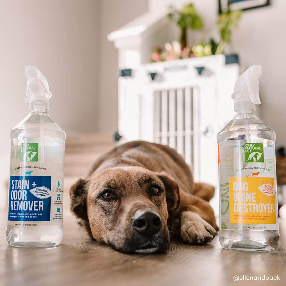Aplicación rápida de Only Natural Pet para manchas difíciles