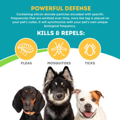 Only Natural Pet EasyDefense diseño para todas las edades, apto para perros y gatos.