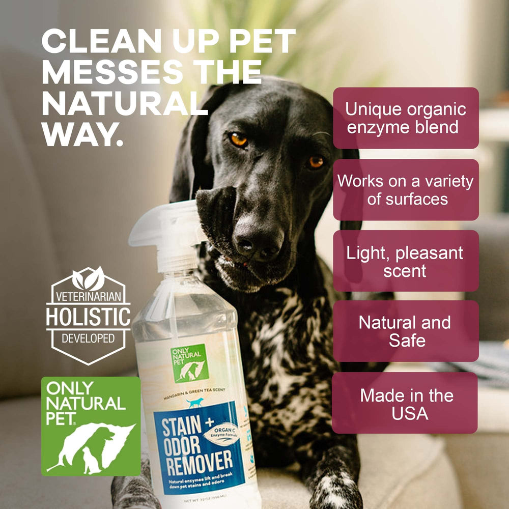 Limpieza de alfombras y tapicería con Only Natural Pet para olores