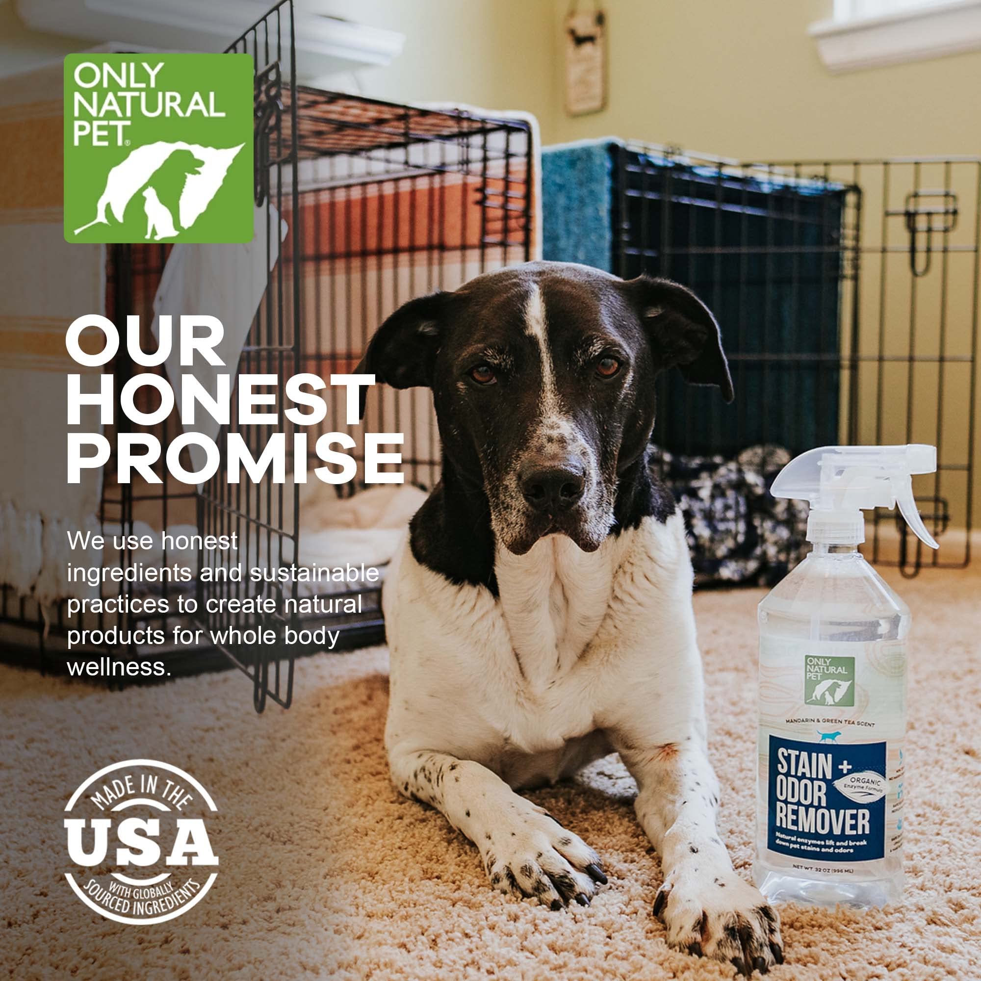 Limpieza de suelos de madera con Only Natural Pet para superficies duras