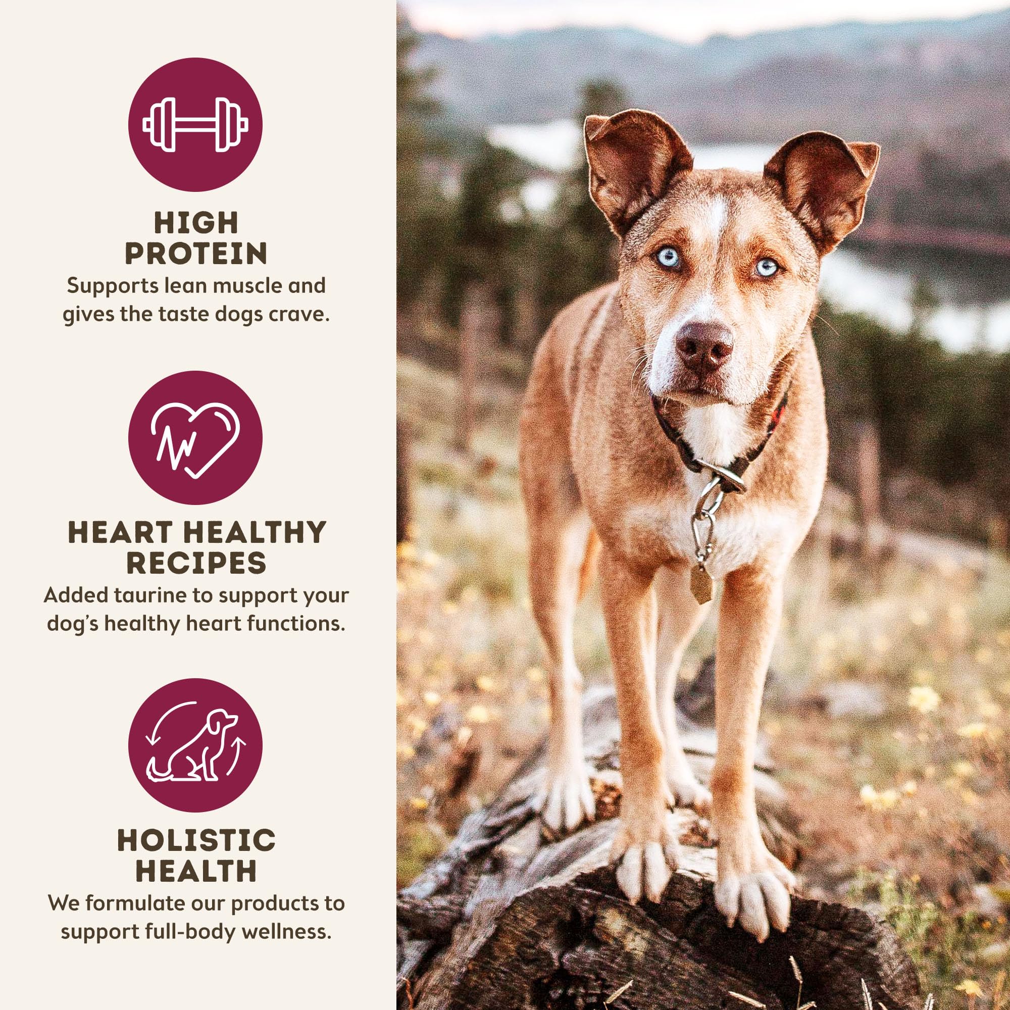 MaxMeat Holistic, detalle de ingredientes sin granos para perros activos.