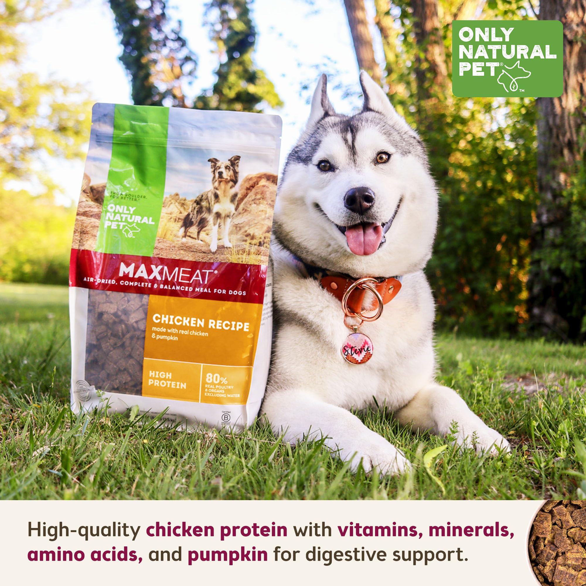 MaxMeat Holistic, perro activo disfruta de comida con alto contenido proteico.