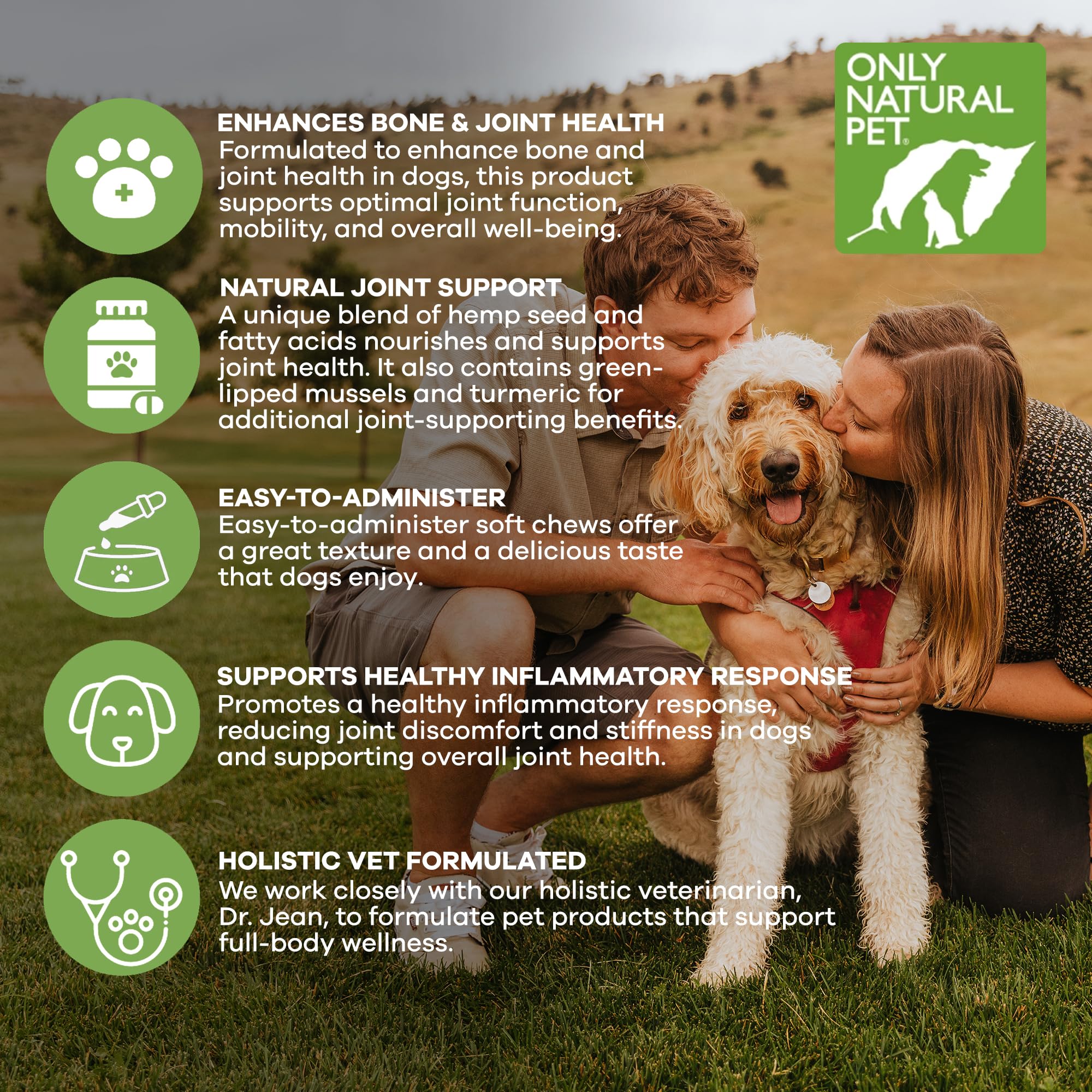 Mejillón de labio verde y cúrcuma para movilidad en perros.