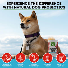 Frasco de 60 unidades de Only Natural Pet Probiótico, opción para razas pequeñas.