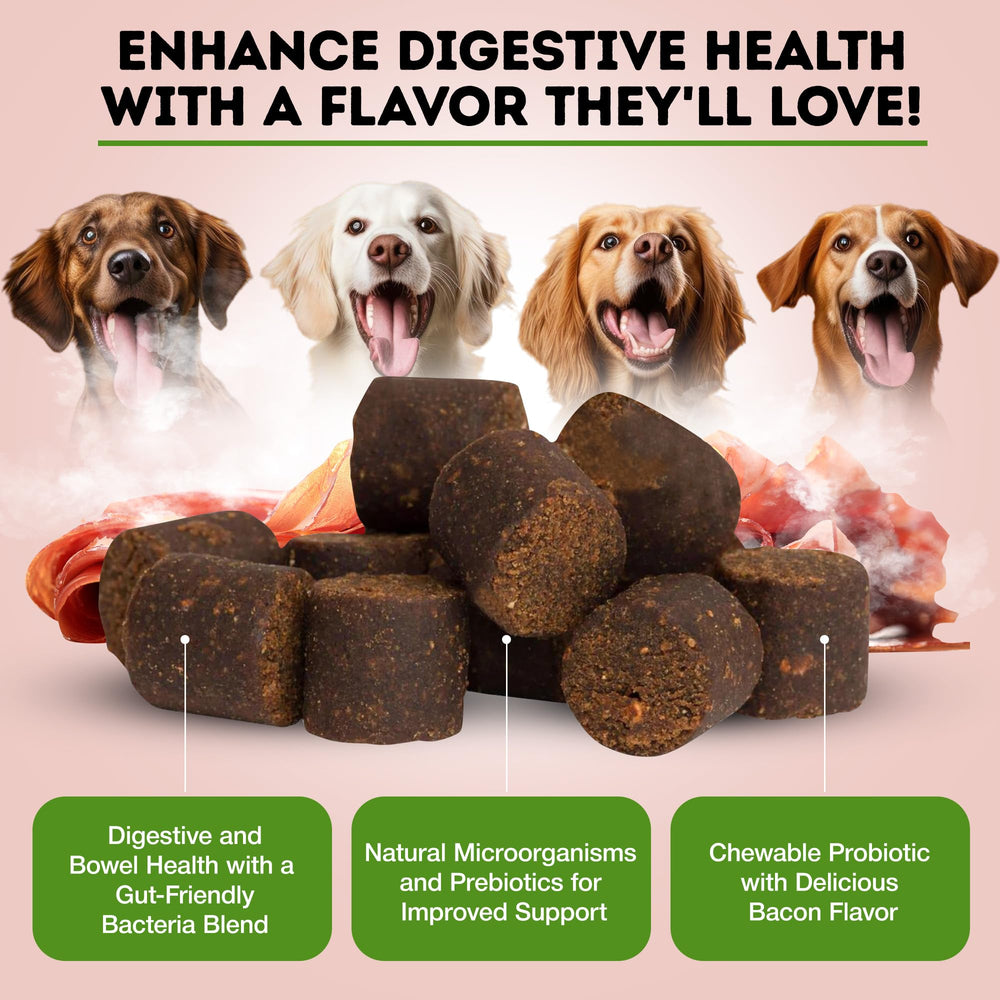 Uso diario de Only Natural Pet Probiótico para perros y gatos, mejora digestiva.