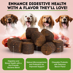 Uso diario de Only Natural Pet Probiótico para perros y gatos, mejora digestiva.