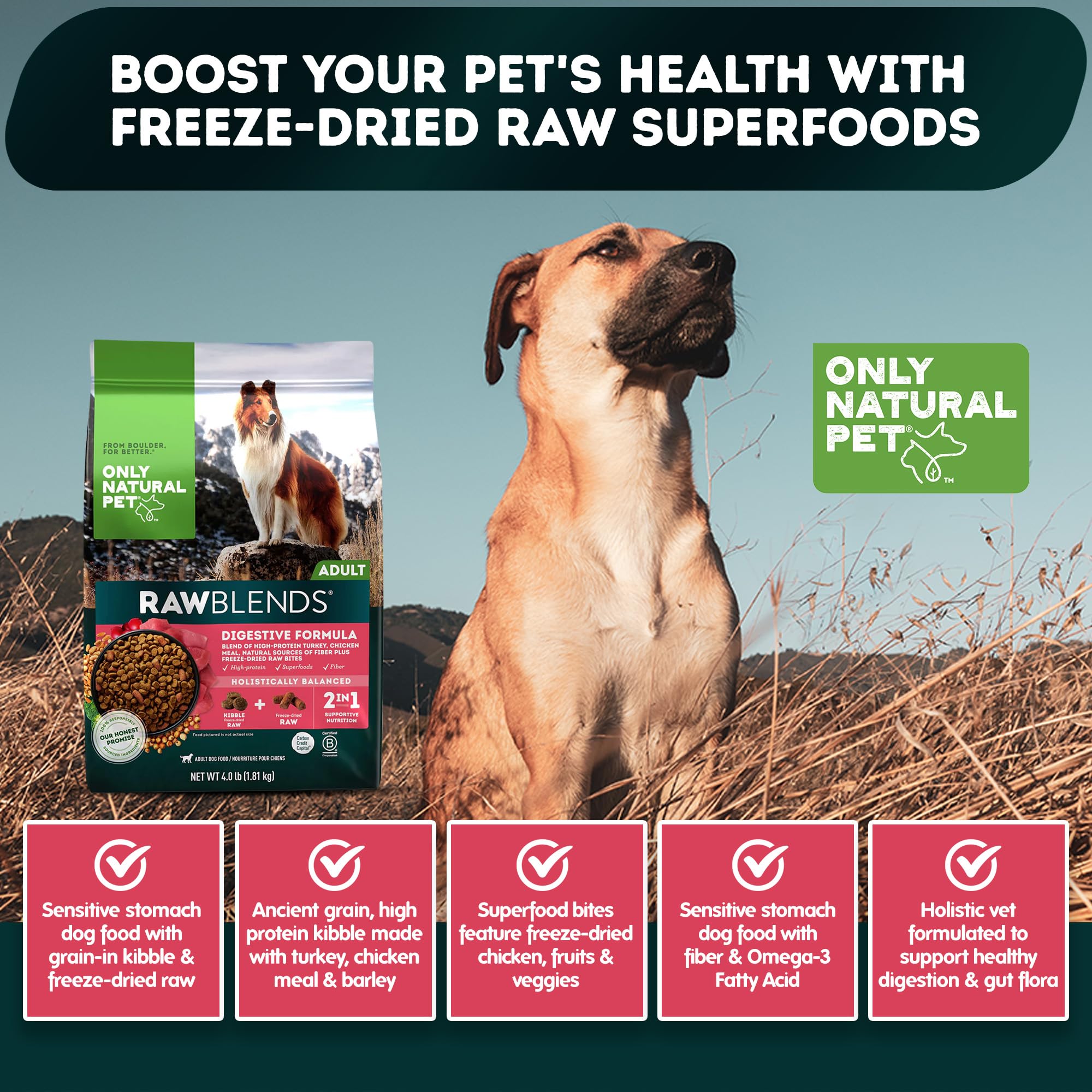 Only Natural Pet Raw Blends: brócoli y arándanos para apoyar la salud general