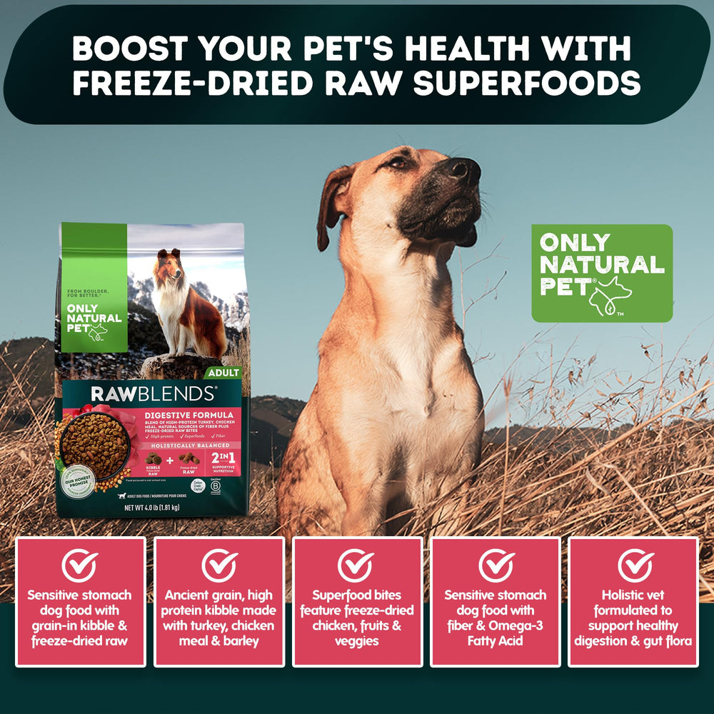 Only Natural Pet Raw Blends: brócoli y arándanos para apoyar la salud general