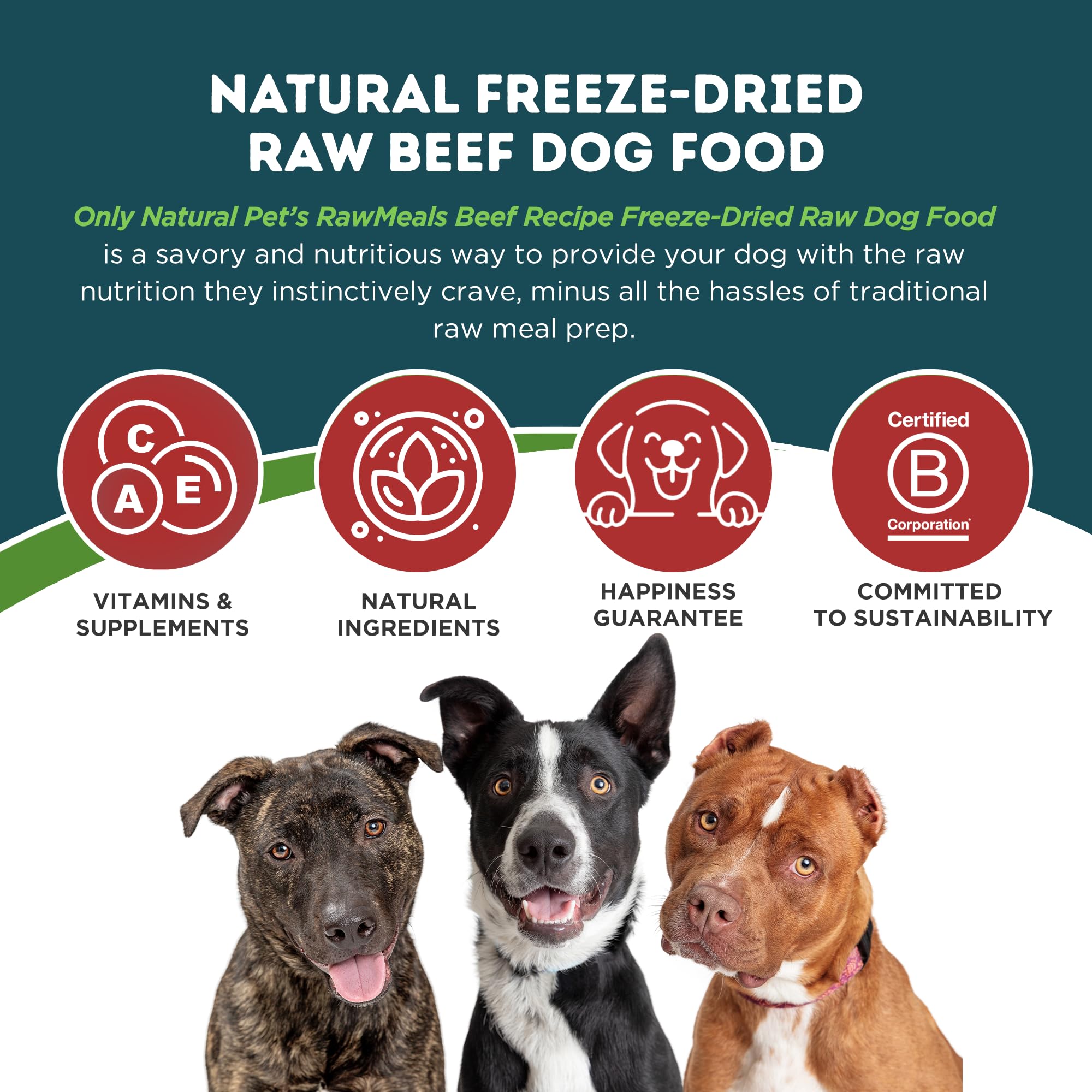 Only Natural Pet RawMeals perro-comiendo: muestra textura agradable y sabor natural
