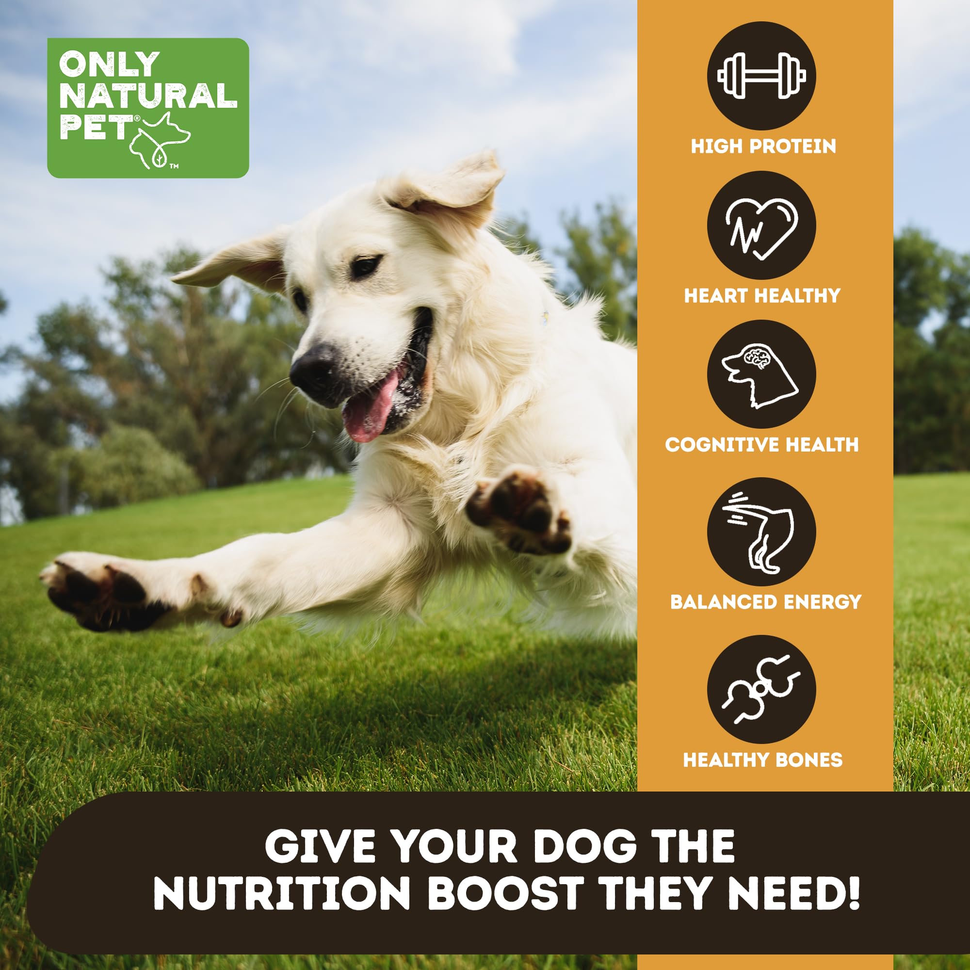 Only Natural Pet RawMeals Receta Pollo: ingredientes nutritivos visibles para una comida completa