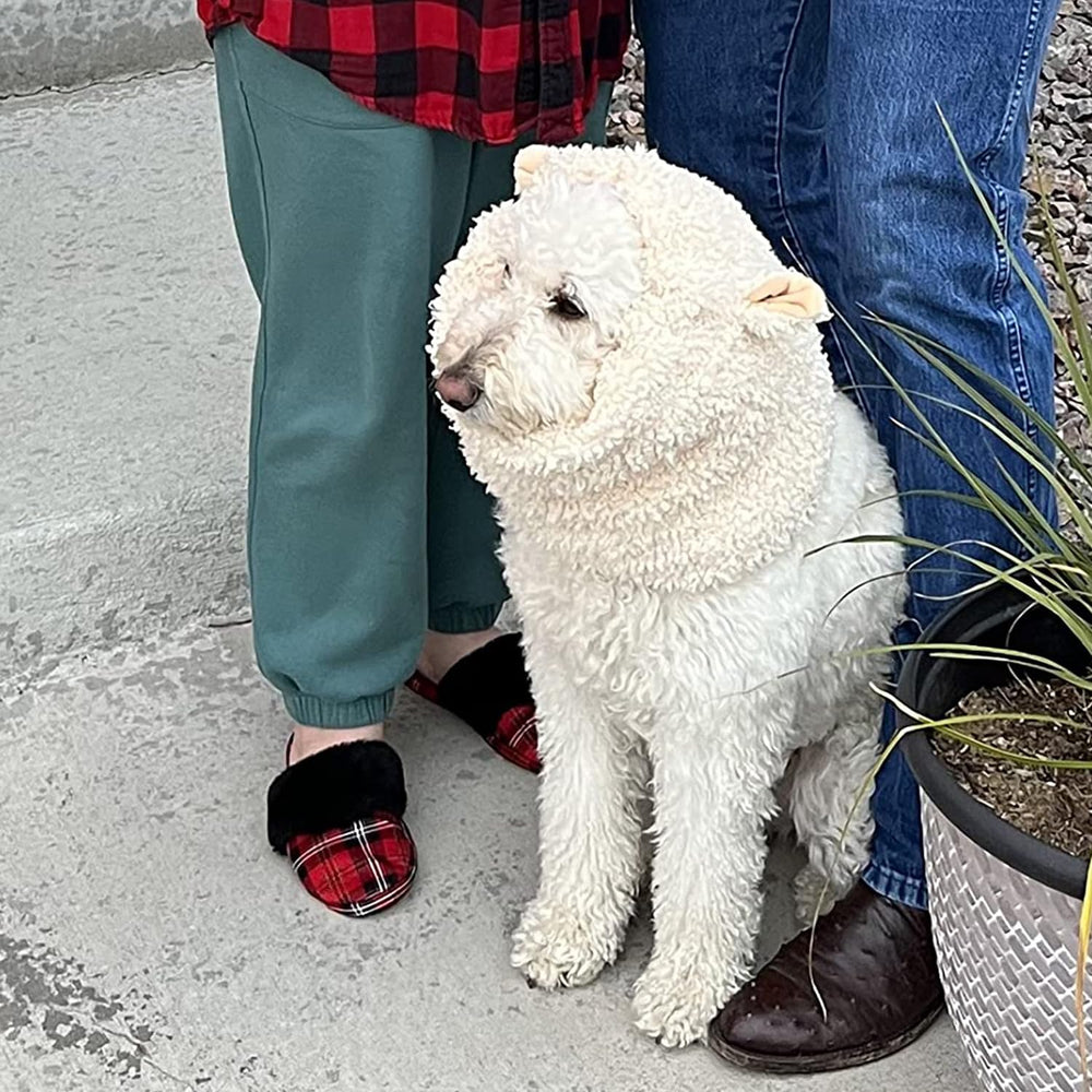 Onmygogo disfraz oveja para perro, opción divertida para eventos.