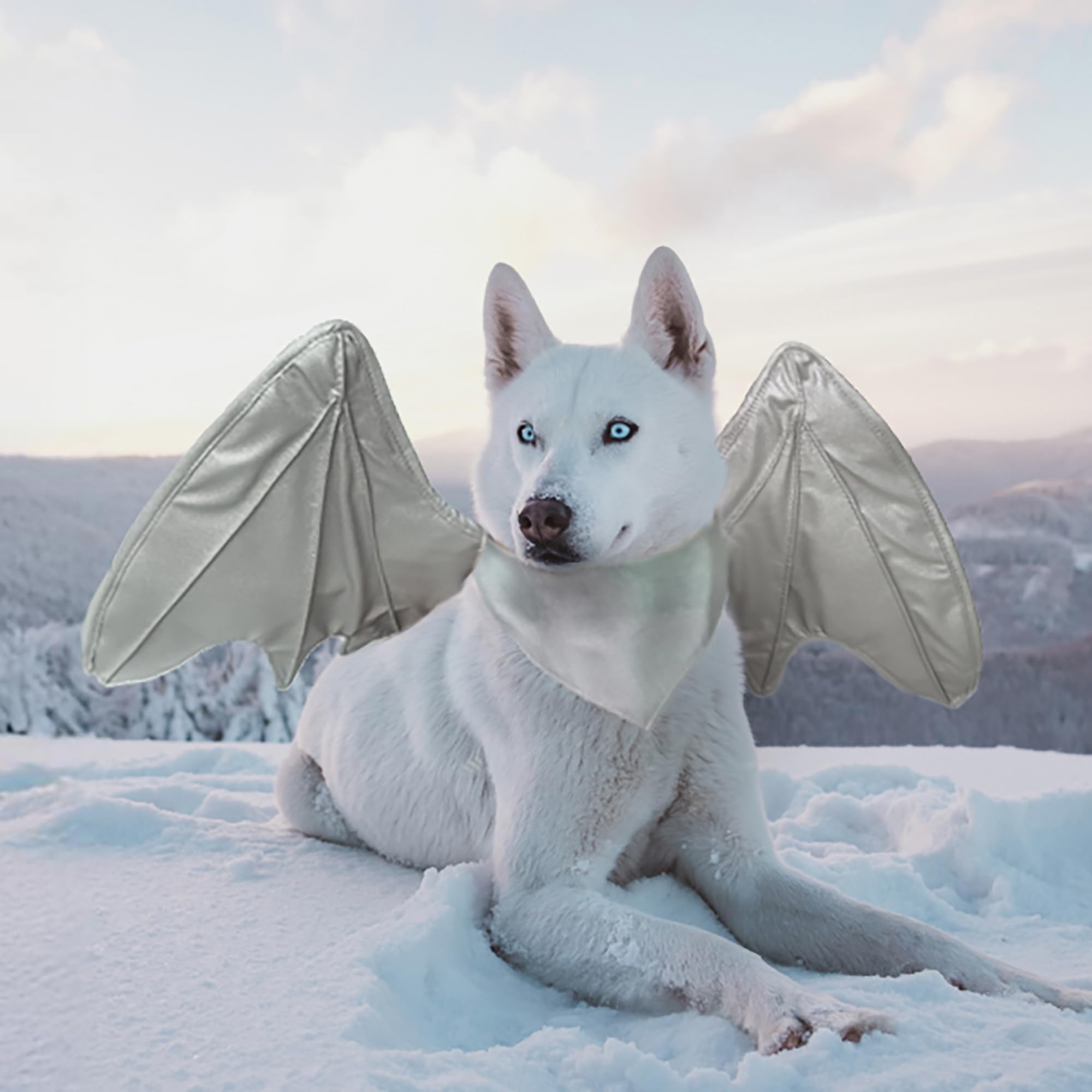 Disfraz Onmygogo para perro con alas plateadas, ideal para fotos.