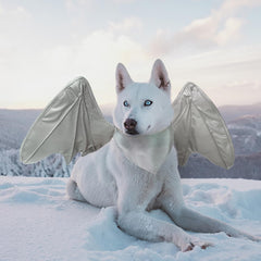 Disfraz Onmygogo para perro con alas plateadas, ideal para fotos.