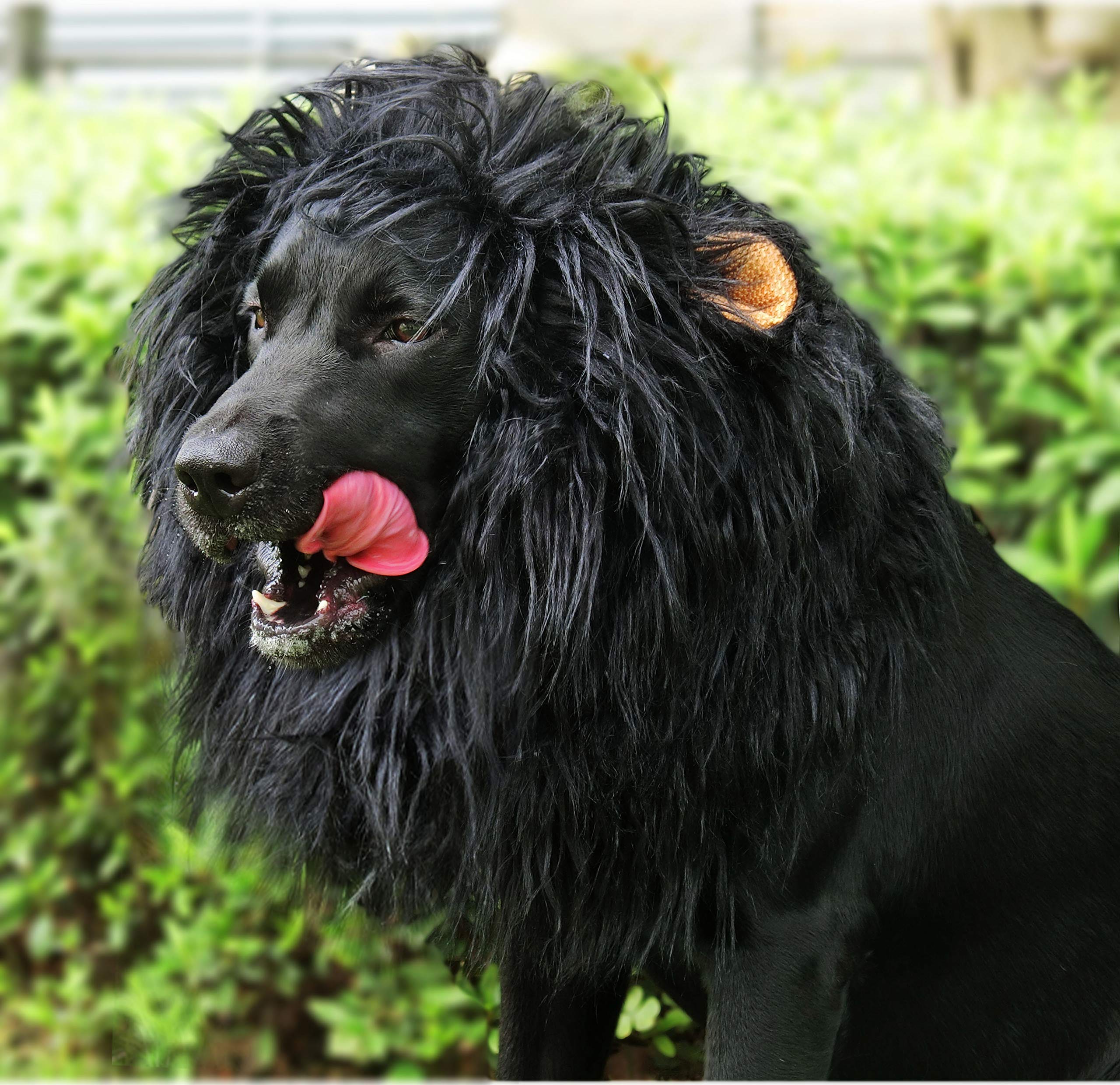 Onmygogo disfraz-perro-leon orejas negras, perfecto para Navidad