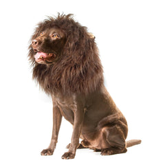 Onmygogo leon-mane-perro cerca: melena suave para confort durante juego.