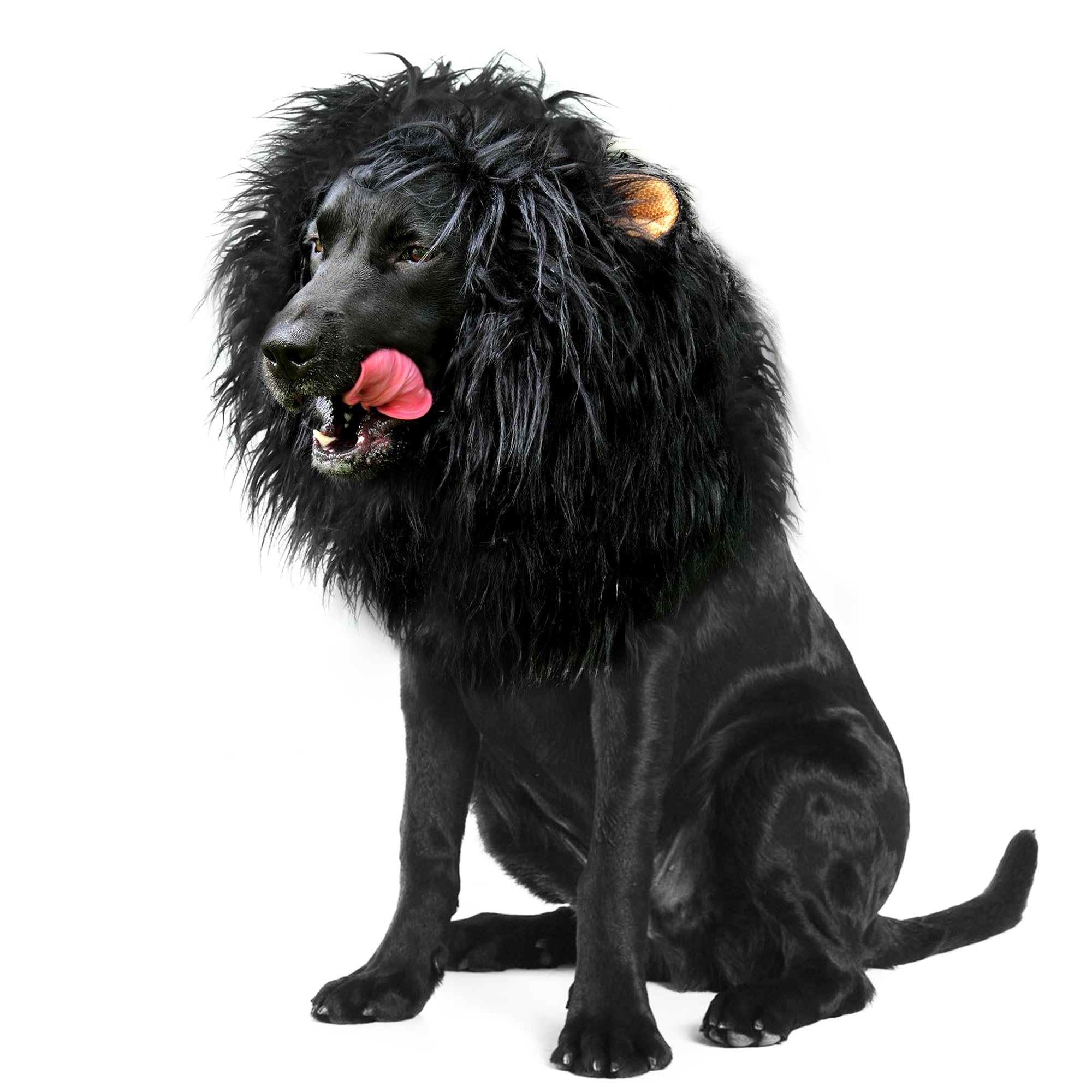 Onmygogo leon-melena-perro negro talla L, ideal para Halloween