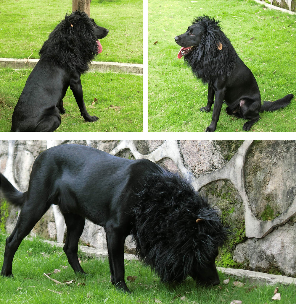 Onmygogo melena-leon-perro suave y cómodo para paseos
