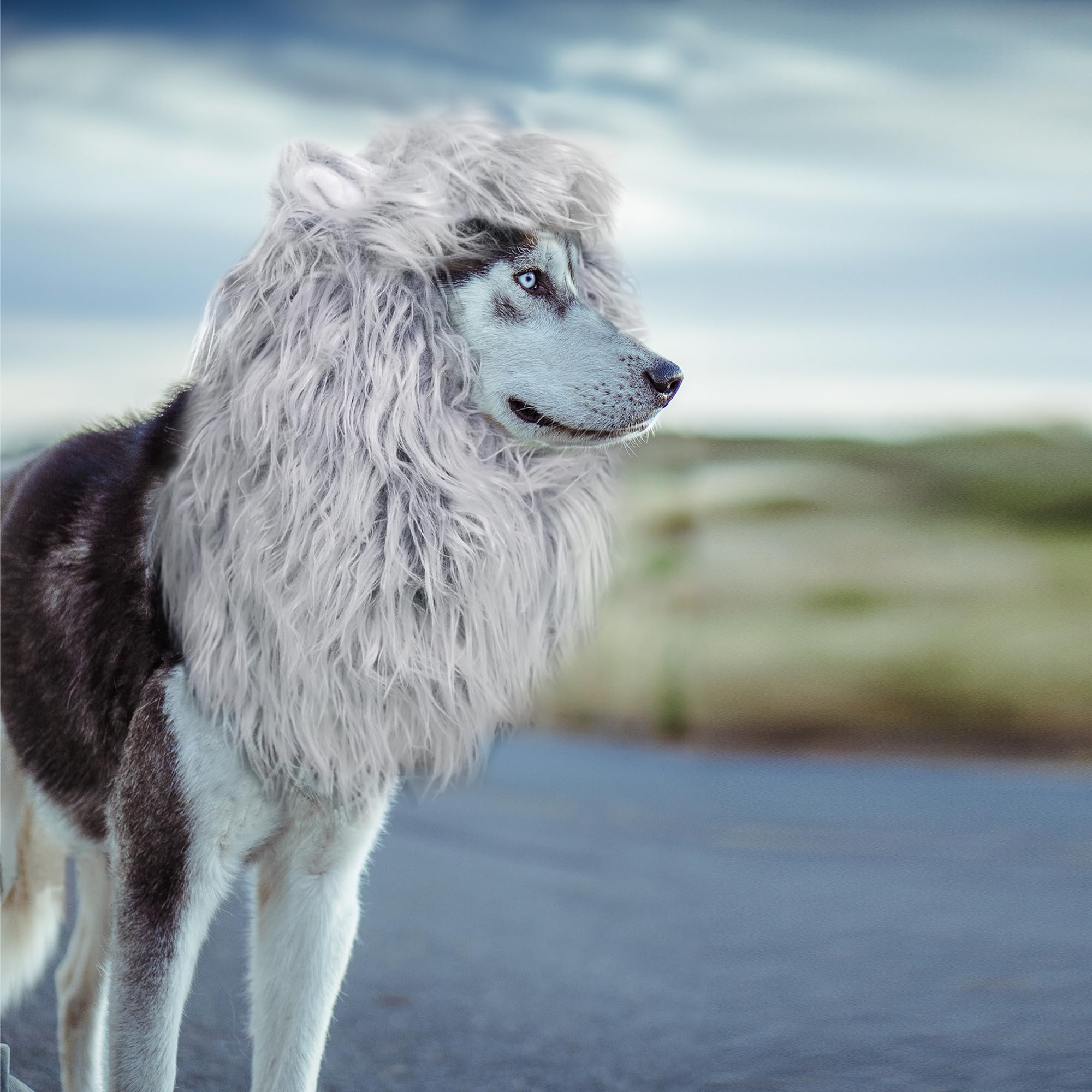 Onmygogo talla M para perro mediano, ajuste cómodo durante el paseo o juego.