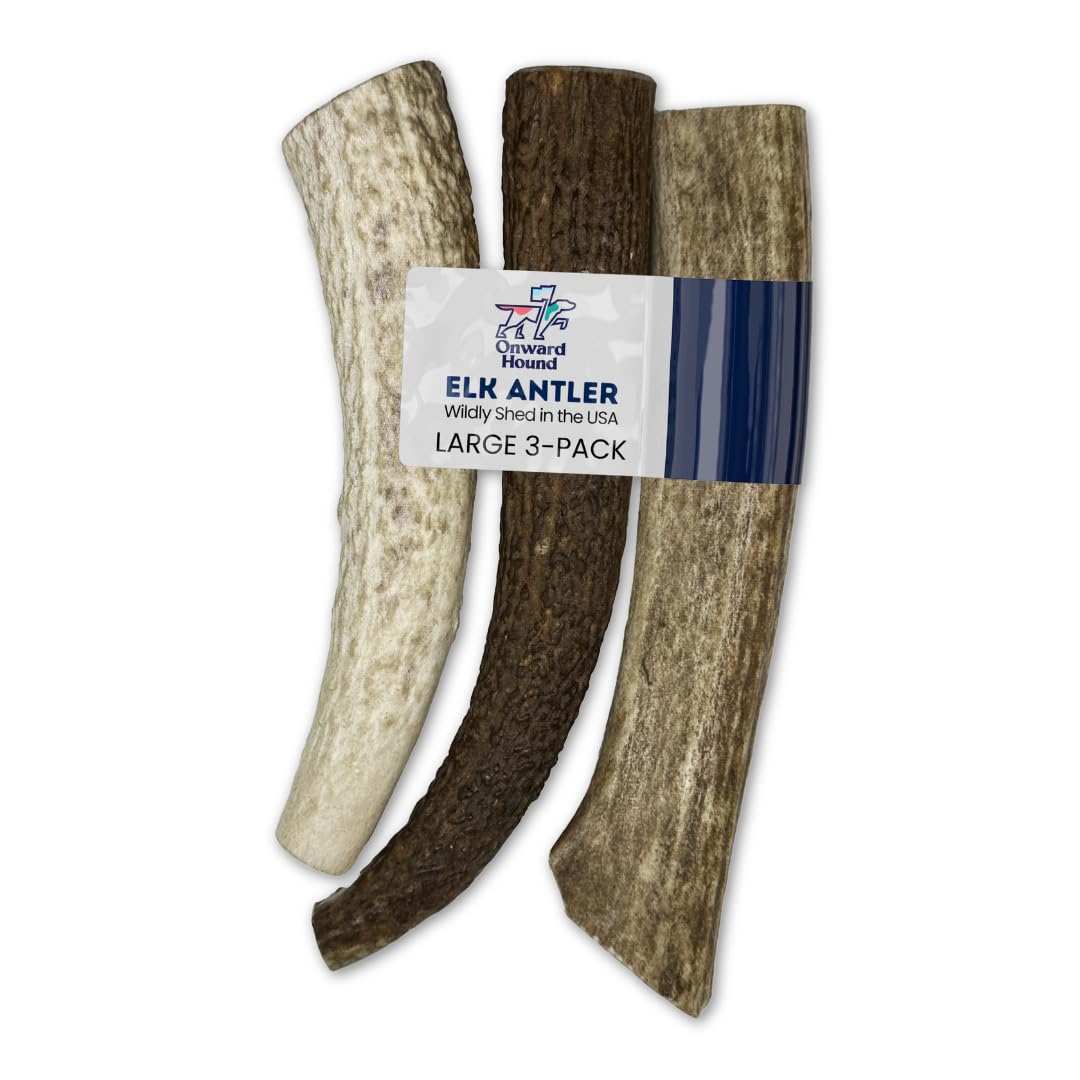 Onward Hound Elk Antlers grandes, durabilidad para masticadores agresivos.