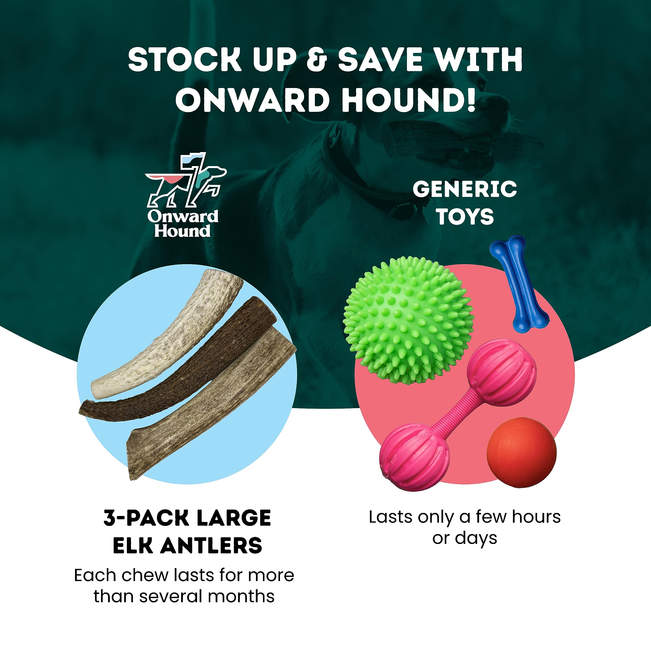 Onward Hound Elk Antlers en pack de 3: conveniencia para la rutina diaria.