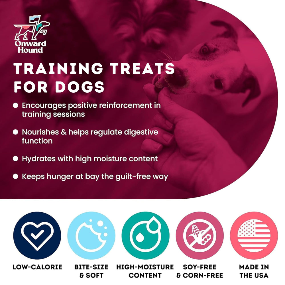 Onward Hound salmón: proteína de origen único ideal para perros durante adiestramiento.