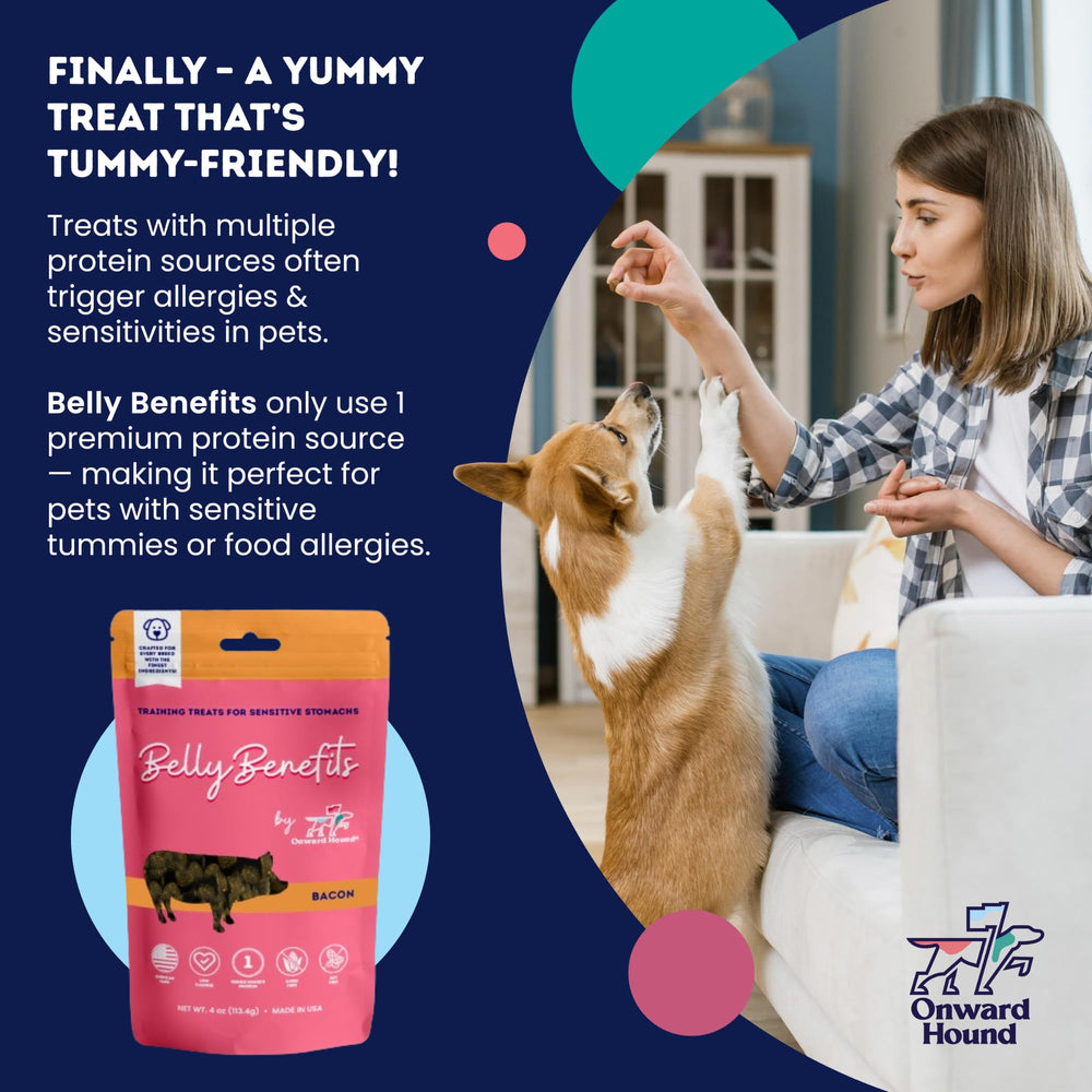 Onward Hound salmón sin maíz mejora la compatibilidad alimentaria de perros sensibles.