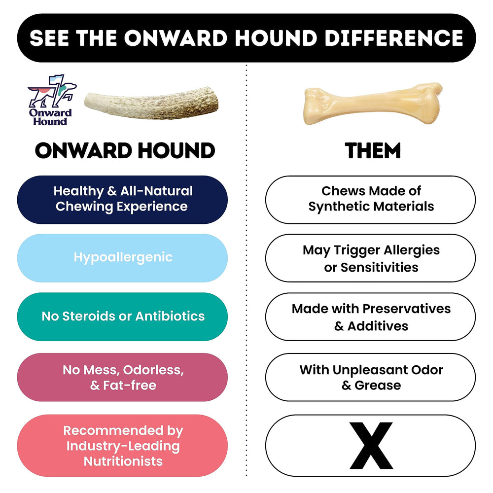 Onward Hound - asta de alce para perros de 60-95 lb con masticación duradera.