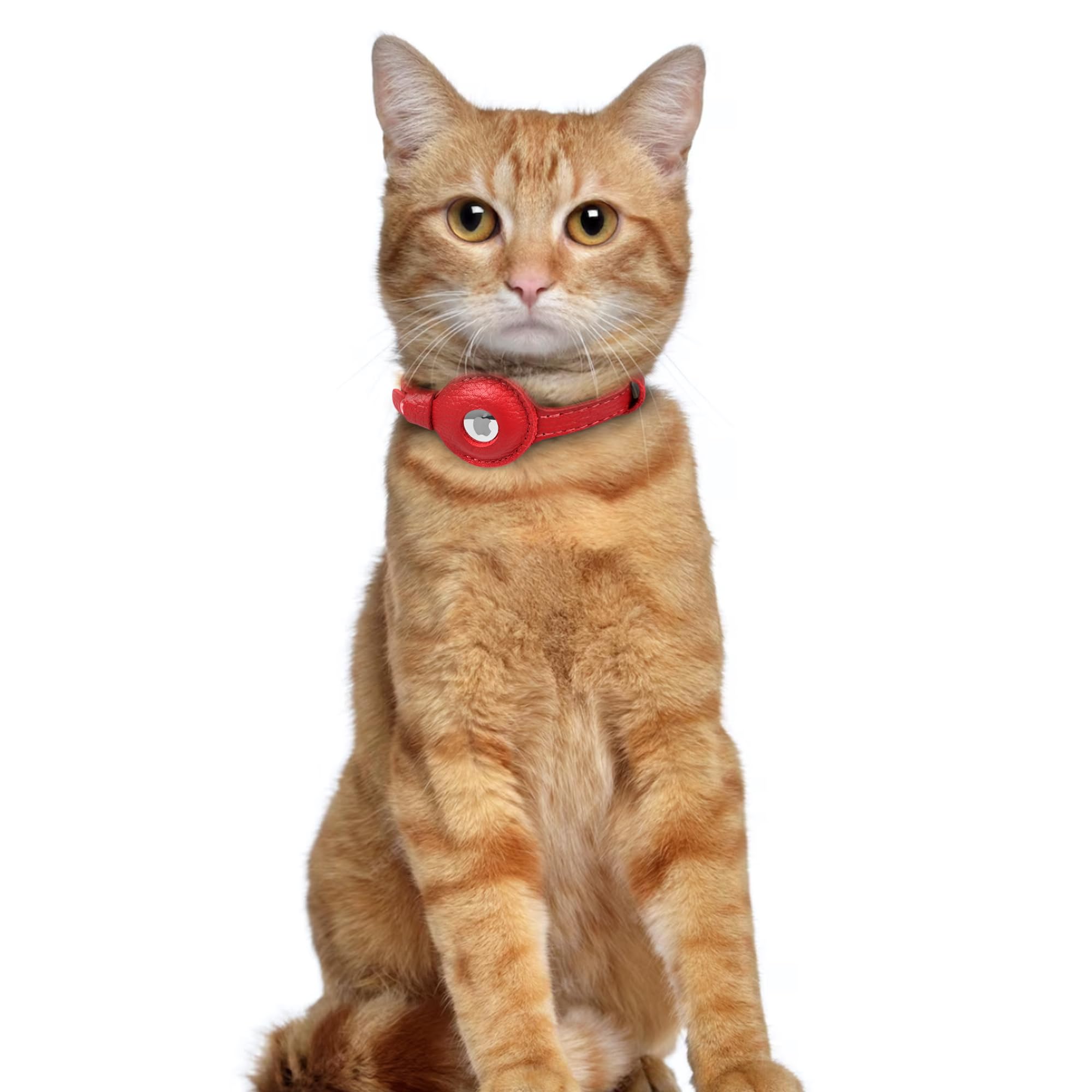 OOPSDOGGY Collar AirTag sin rotura, seguro para felinos y caninos pequeños.