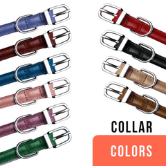 OOPSDOGGY collar cuero enrollado negro, estilo minimalista.