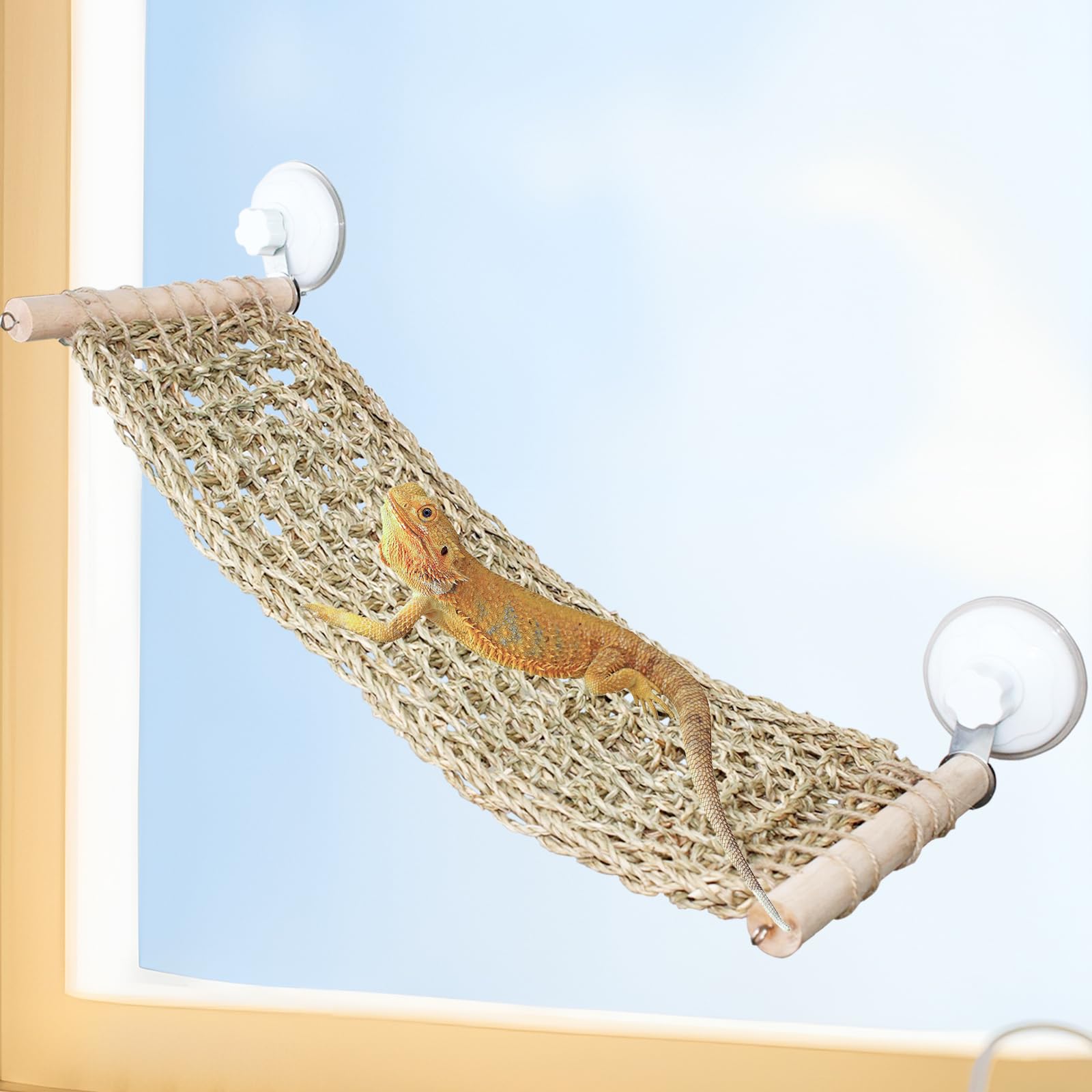 OOXYG percha-ventana-lagarto-grande ofrece sujeción estable para juego y descanso seguro