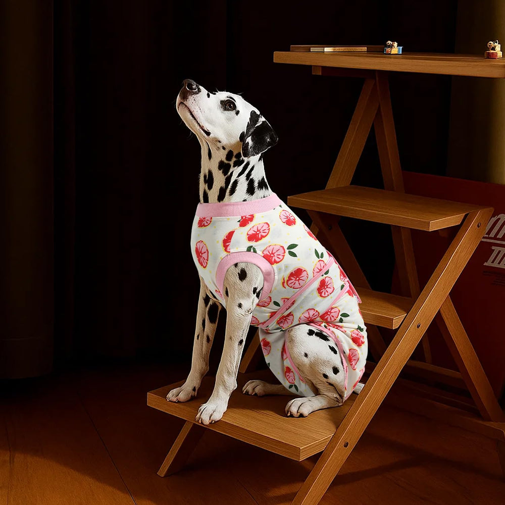 OPAW detalle tela del traje de recuperación rosa para perro.