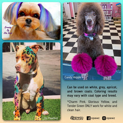 OPAWZ tinte para pelo canino en salón profesional, color verde profundo.