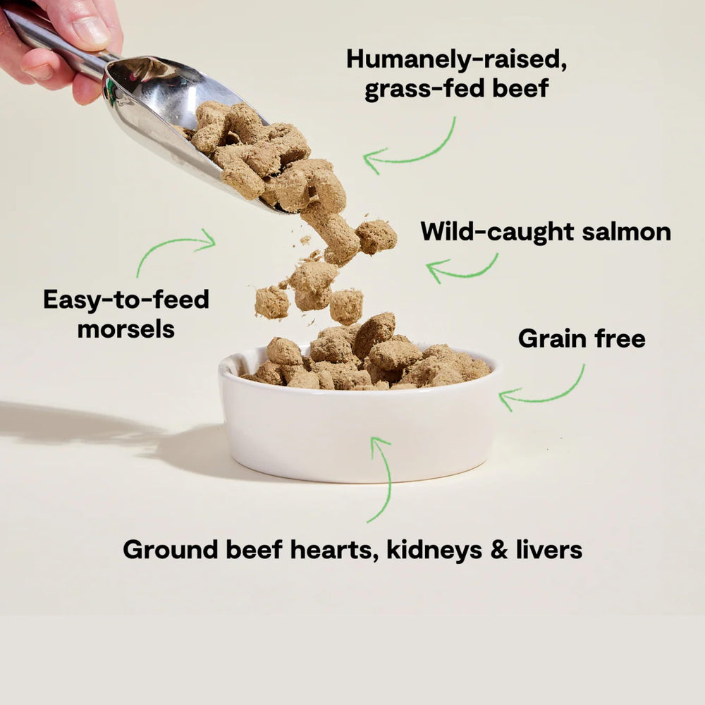 Open Farm alimento crudo seco congelado para perros, opción completa para la comida diaria.