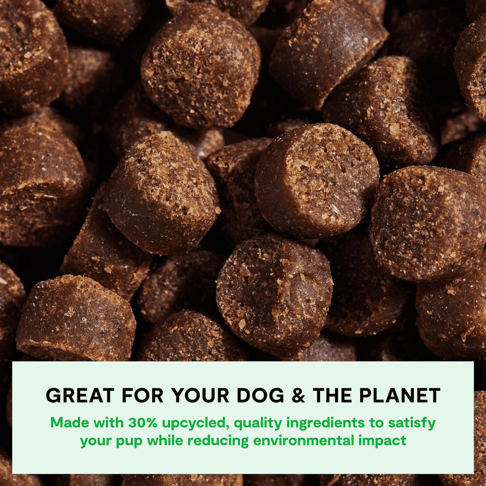 Open Farm Be Good Bites: sabor delicioso para recompensas durante el adiestramiento.