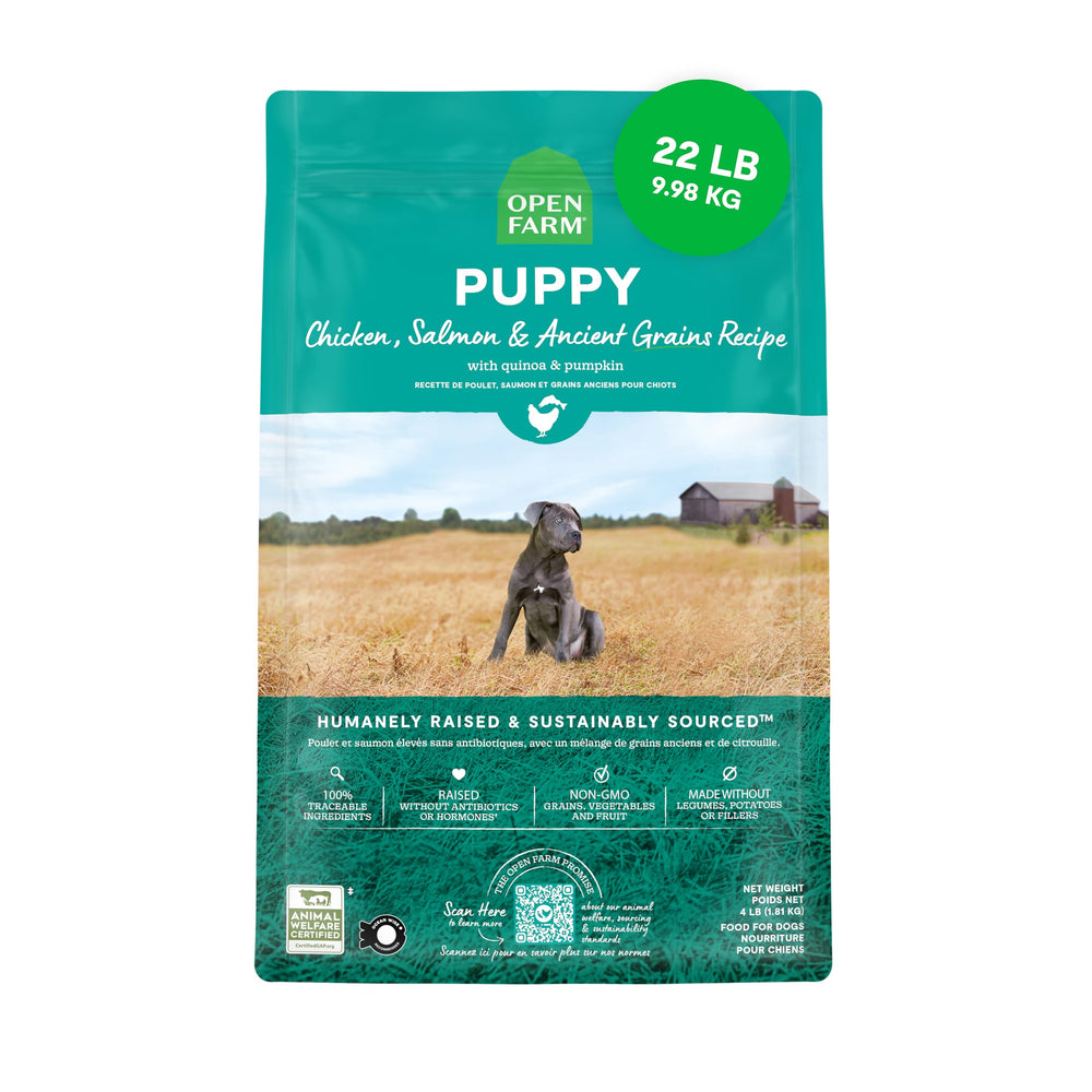 Open Farm cachorro con granos antiguos en tazón, fuente de proteína y fibra para cachorros felices.
