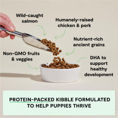 Open Farm proteína pollo y salmón, dosis combinada para desarrollo saludable de cachorros.