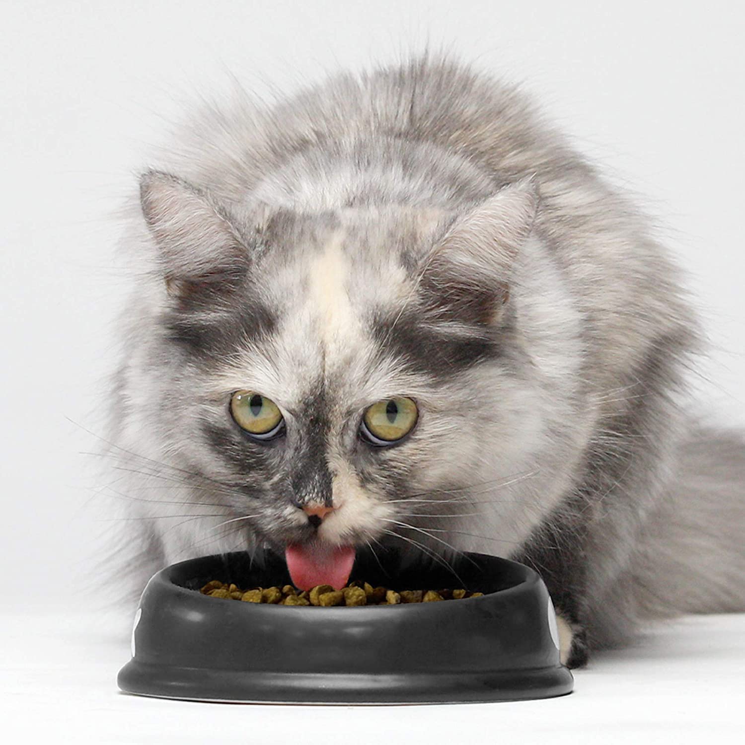 Sin granos y con ingredientes simples en Open Farm, balance para gatos activos.