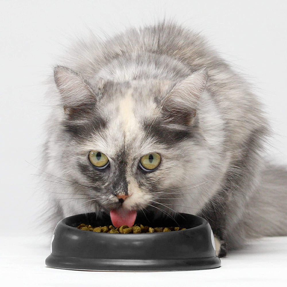 Sin granos y con ingredientes simples en Open Farm, balance para gatos activos.