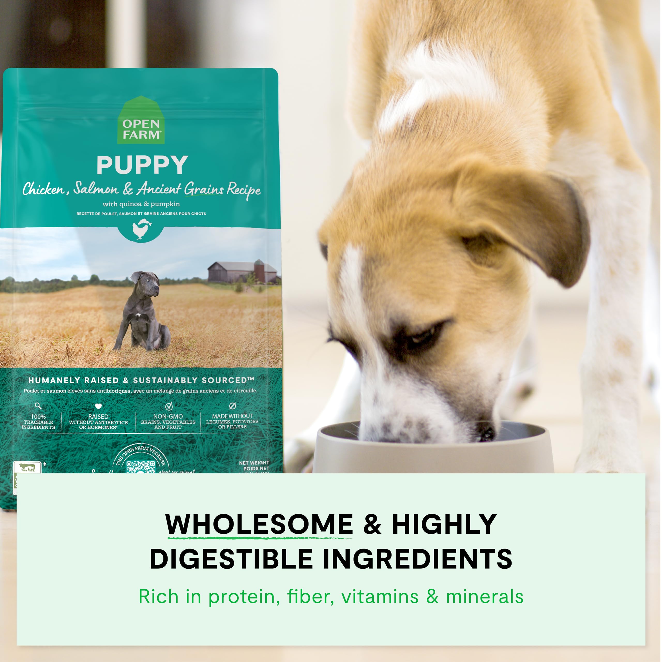 Open Farm frutas y verduras sin transgénicos, complemento nutricional para cachorros activos.