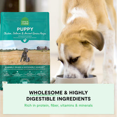 Open Farm frutas y verduras sin transgénicos, complemento nutricional para cachorros activos.